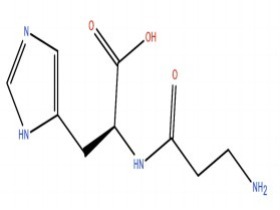 L-肌肽  L-Carnosine 305-84-0