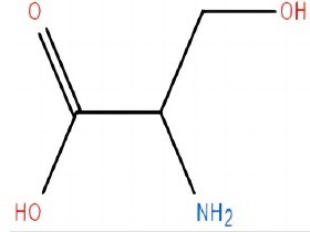 DL-丝氨酸 DL-serine 302-84-1