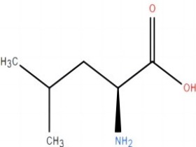 L-亮氨酸 L-Leucine 61-90-5