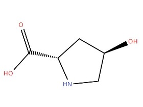 L-羟基脯氨酸 L-HYDROXPROLINE 51-35-4