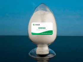 透明质酸钠 Sodium hyaluronate 9067-32-7