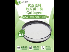 胶原蛋白  Collagen 9007-34-5